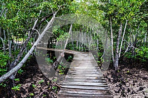 Tropical island Curieuse at Seychelles, Indian Ocean, Africa