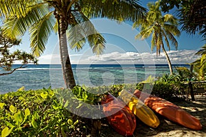 Tropical island holiday, a beach with palm trees on the south pacific island of Tonga photo