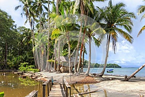 Tropical Island - Isla Parida, Panama photo