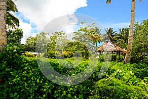 Tropical island jungle in Oceania with traditional primitive architecture of Polynesian aborigines