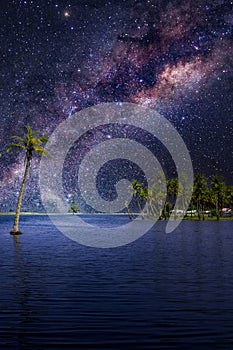 Tropical island landscape with beautiful starry night