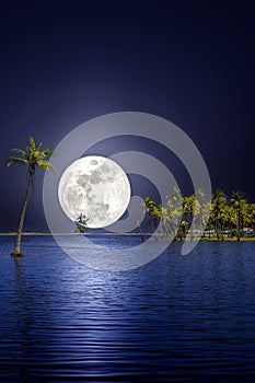 Tropical island landscape with beautiful starry night