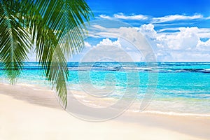 Tropical island landscape, exotic sand beach, turquoise sea water ocean waves, green palm tree leaves, summer holidays, vacation,