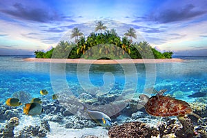 Tropický ostrov z maldivy 