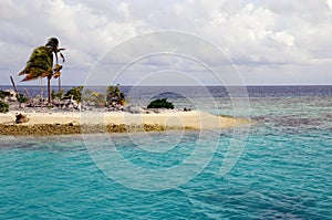 Tropical Island in Maldives