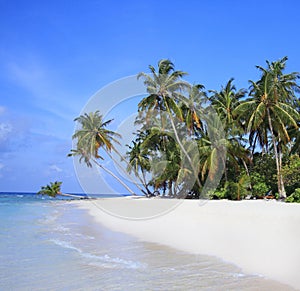 Tropical island, Maldives