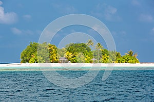 Tropicale isola da maldive solitario isola pace blu il mare. tropicale isola 