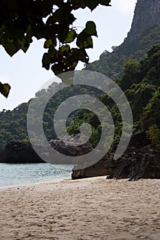 Tropical island mountain cliff with forest and rocks