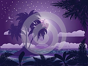 Tropical island at night