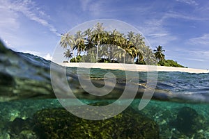 Tropical island and ocean