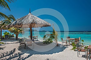 Tropical island with palm trees and amazing vibrant beach in Maldives. Parasol in sea tropical Maldives romantic atoll island