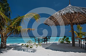 Tropical island with palm trees and amazing vibrant beach in Maldives. White parasol in sea tropical Maldives romantic atoll photo