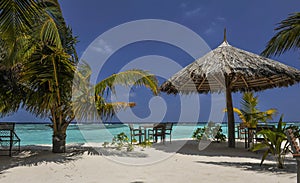 Tropical island with palm trees and amazing vibrant beach in Maldives. White parasol in sea tropical Maldives romantic atoll