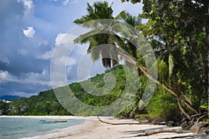 Tropical island and palm trees. Baie Lazare beach Mahe Island Seychelles.