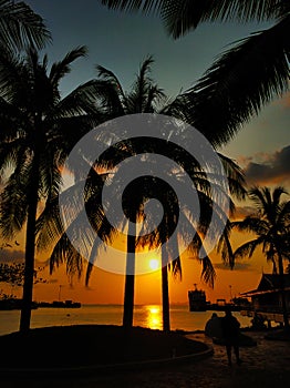 Tropical island, palms on the background of the sunset sky