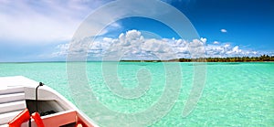 Tropical island with palms and beach panorama as background