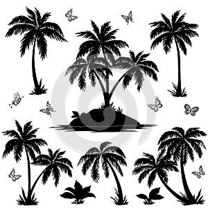 Tropical island, palms and butterflies silhouettes