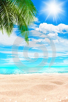 Tropical island paradise beach, green coconut palm tree leaf, sand, blue sea water turquoise ocean, summer holidays, vacation