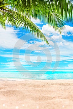 Tropical island paradise beach, green palm tree leaf, sand, blue sea water turquoise ocean, summer holidays, vacation, travel