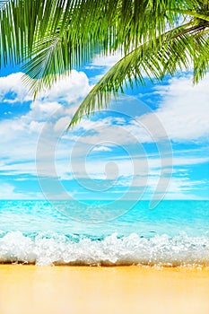 Tropical island paradise beach nature, blue sea wave, ocean water, green coconut palm tree leaves, sand, sun, sky, white clouds