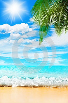 Tropical island paradise beach nature, blue sea wave, ocean water, green coconut palm tree leaves, sand, sun, sky, white clouds