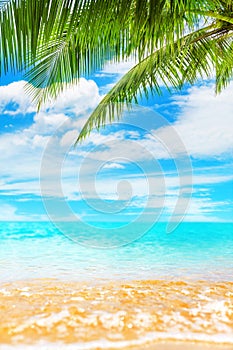 Tropical island paradise beach nature, blue sea wave, ocean water, green coconut palm tree leaves, sand, sun, sky, white clouds