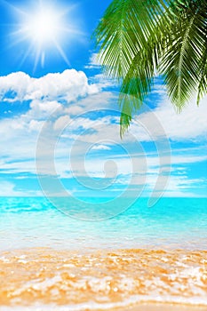 Tropical island paradise beach nature, blue sea wave, ocean water, green coconut palm tree leaves, sand, sun, sky, white clouds