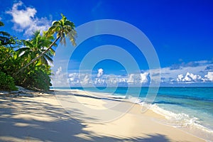 Tropical Island with a paradise beach and palm trees