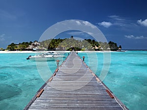 Tropical island paradise - Maldives - Indian Ocean