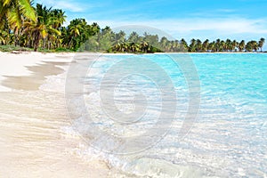 Tropical island paradise sand beach exotic nature, blue sea wave turquoise ocean water, palm tree, sun sky white cloud