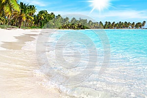 Tropical island paradise sand beach exotic nature, blue sea wave turquoise ocean water, palm tree, sun sky white cloud