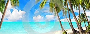 Tropical island paradise sea beach, ocean water, palm tree, sand, sun sky cloud, beautiful panorama landscape, summer holidays