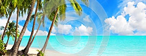 Tropical island paradise sea beach, ocean water, palm tree, sand, sun sky cloud, beautiful panorama landscape, summer holidays