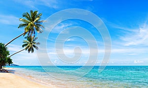 Tropical island paradise sea beach, palm tree, ocean water, Caribbean, Maldives, Thailand summer holidays, vacation