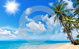 Tropical island paradise sea beach, palm tree, ocean water, Caribbean, Maldives, Thailand summer holidays, vacation