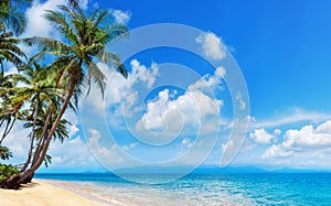 Tropical island paradise sea beach, palm tree, ocean water, Caribbean, Maldives, Thailand summer holidays, vacation