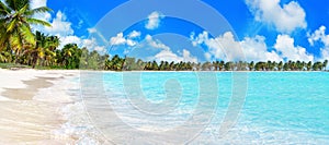 Tropical island paradise sea beach panorama, ocean wave, palm trees, Caribbean, Maldives, Thailand, summer holidays, vacation