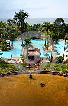 Tropical island resort hotel pool & landscaping