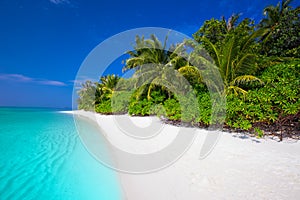 Tropical island with sandy beach, palm trees, overwater bungalow