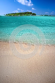 Tropical island with sandy beach, palm trees, overwater bungalow