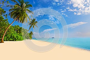 Tropical island with sandy beach, palm trees, overwater bungalow