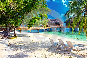 Tropical island with sandy beach, palm trees, overwater bungalows and tourquise clear water.