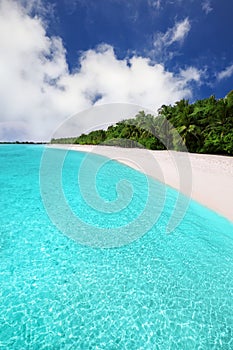 Tropical island with sandy beach with palm trees and tourquise c