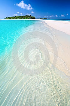 Tropical island with sandy beach with palm trees and tourquise clean water in Maldives photo