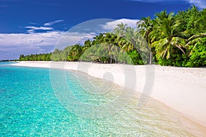 Tropical island with sandy beach and palm trees