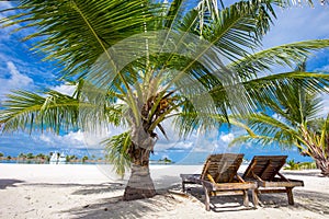 Tropical island with sandy beach, palm trees and tourquise clear photo