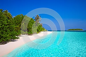 Tropical island with sandy beach with palm trees and turquoise c