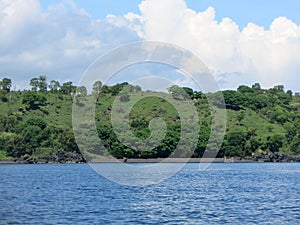 Tropical island, sea, sky, palm, sun