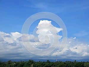 Tropical island, sea, sky, palm, sun