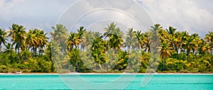 Tropical island - sea, sky and palm trees